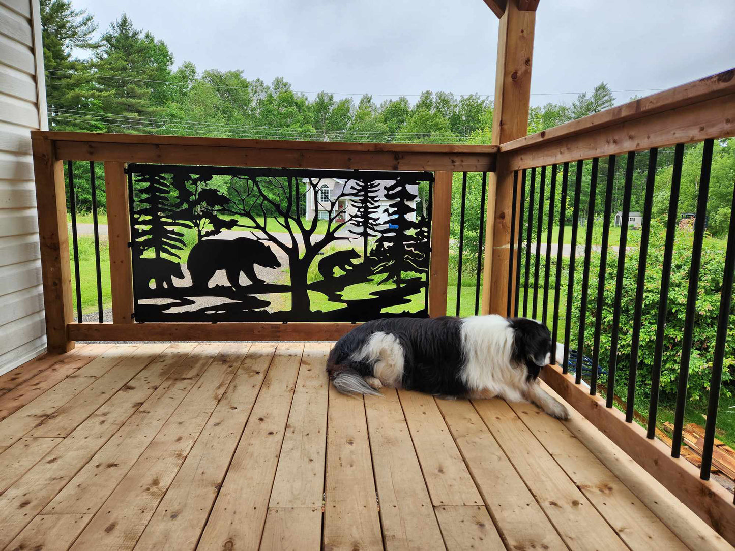 Custom Metal Deck Railing and Fence Panel Inserts