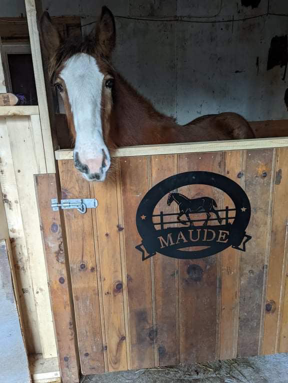 Panneau de cheval en métal personnalisé