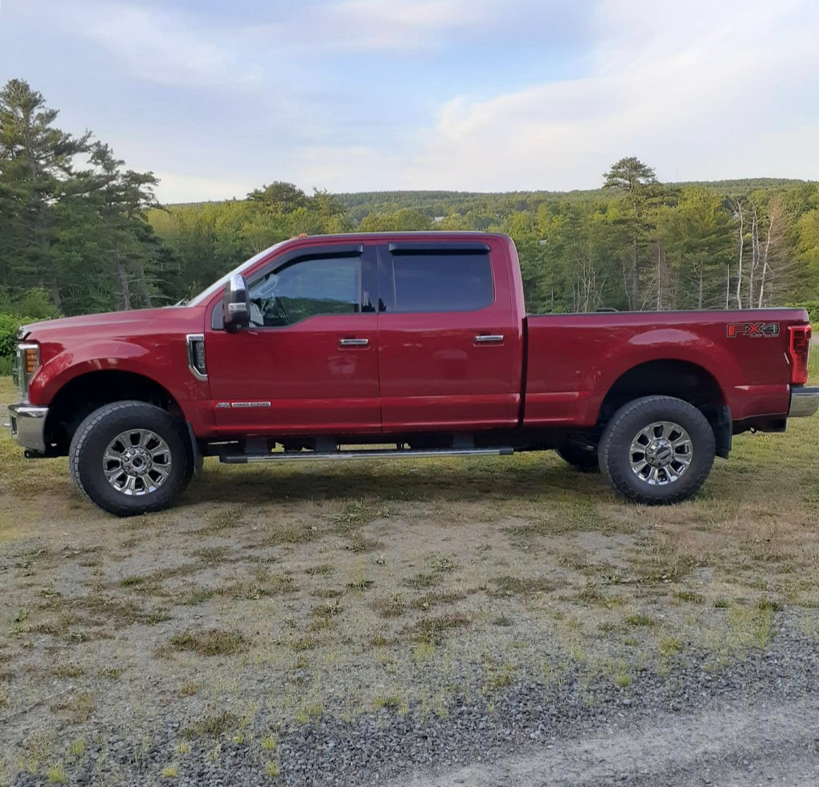Portraits de chiens en métal personnalisés