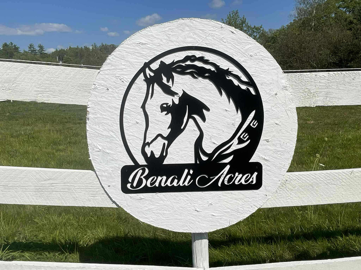 Custom Metal Horse Portraits