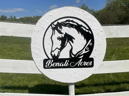 Custom Metal Horse Portraits