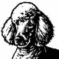 Custom Metal Dog Portraits