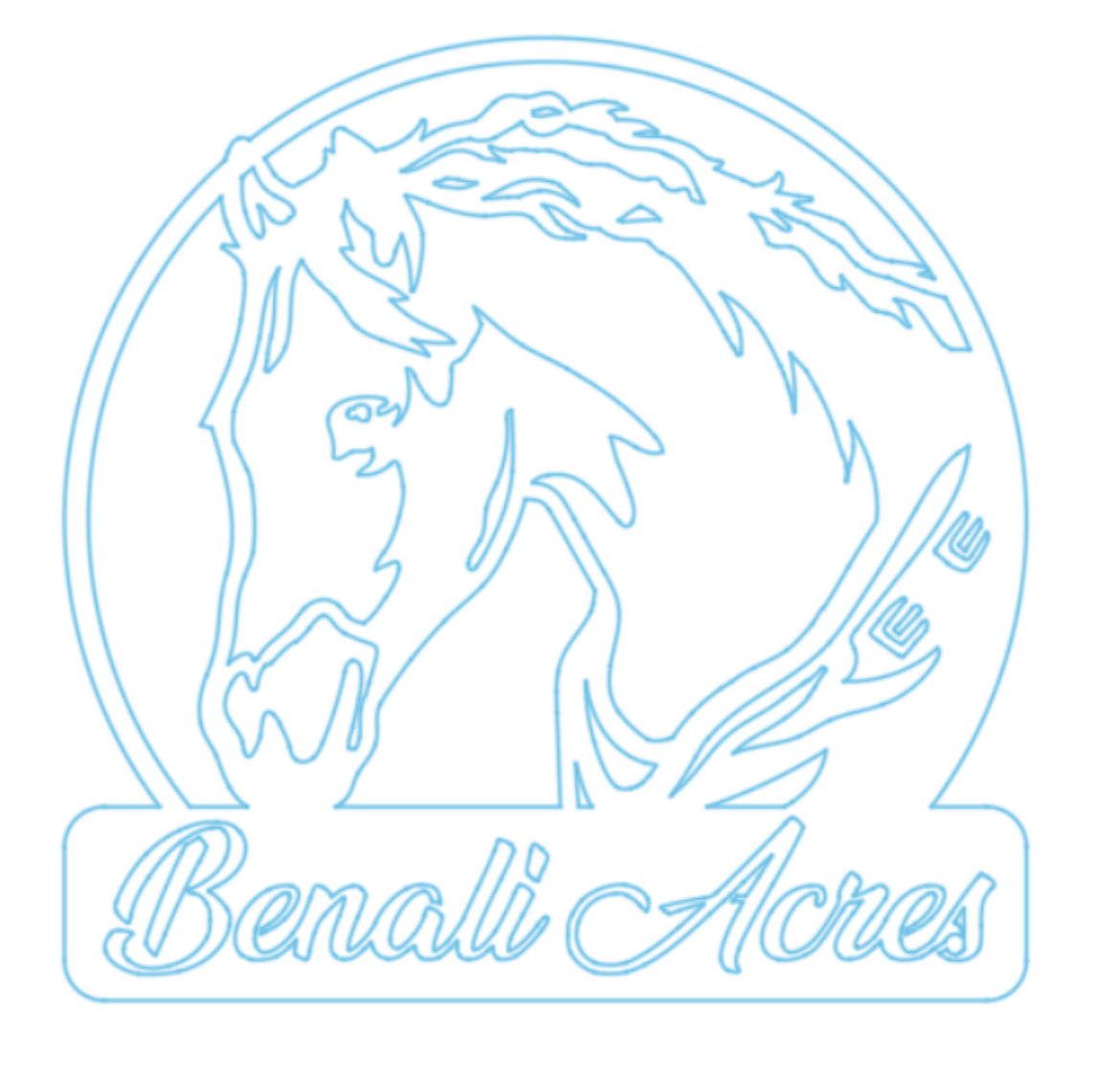 Custom Metal Horse Portraits