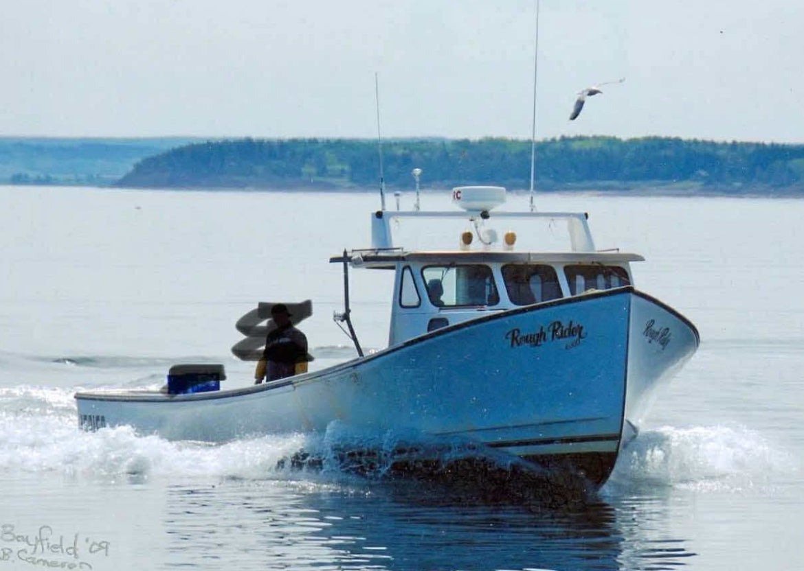 Portraits de chiens en métal personnalisés