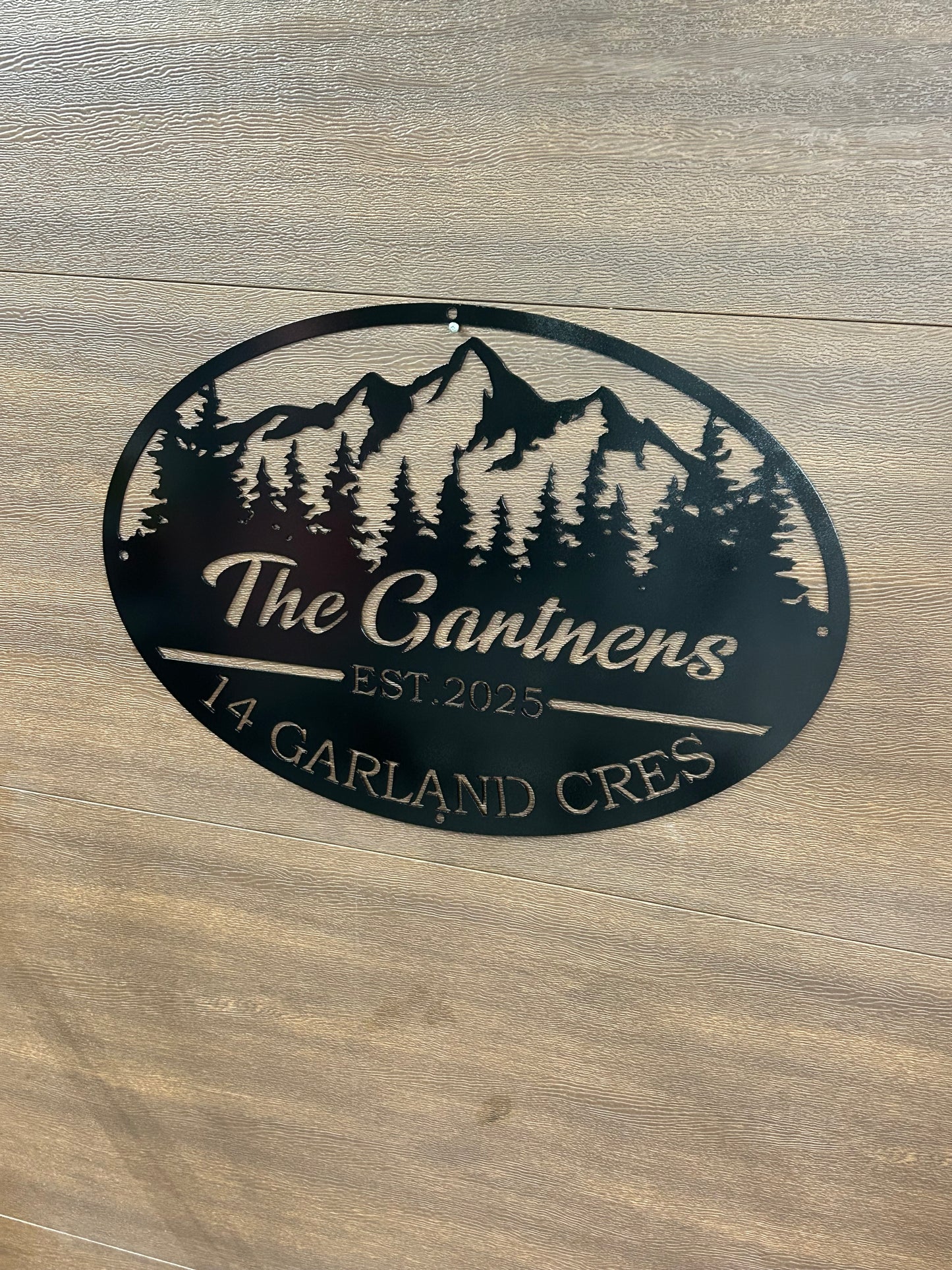 Custom Metal Mountain Pine Civic